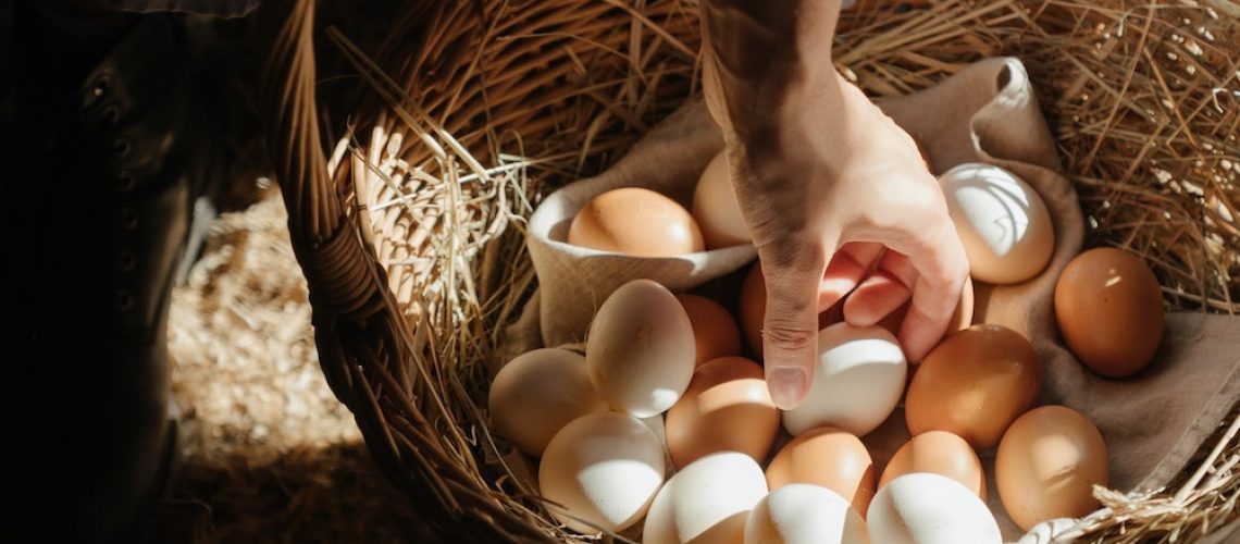 farmermax_broiler nevelő takarmány táp